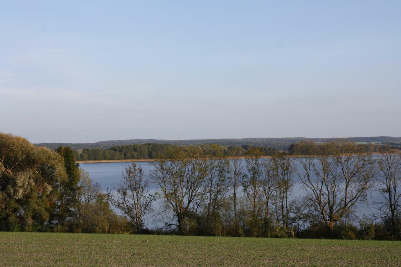 Landpension Zum Schweizerberg Neugrimnitz Bagian luar foto