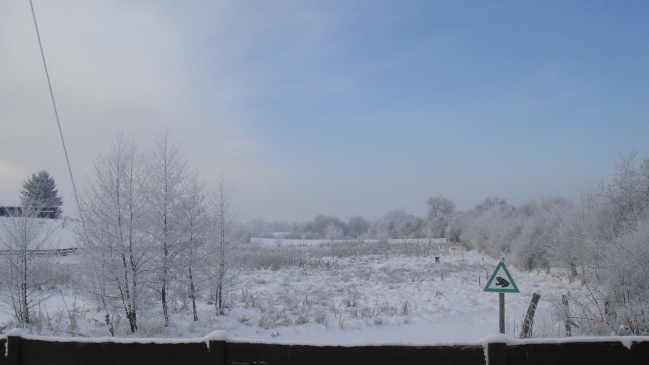 Landpension Zum Schweizerberg Neugrimnitz Bagian luar foto