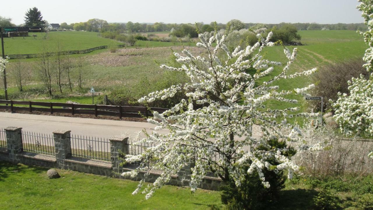 Landpension Zum Schweizerberg Neugrimnitz Bagian luar foto