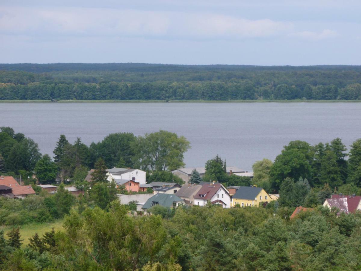 Landpension Zum Schweizerberg Neugrimnitz Bagian luar foto