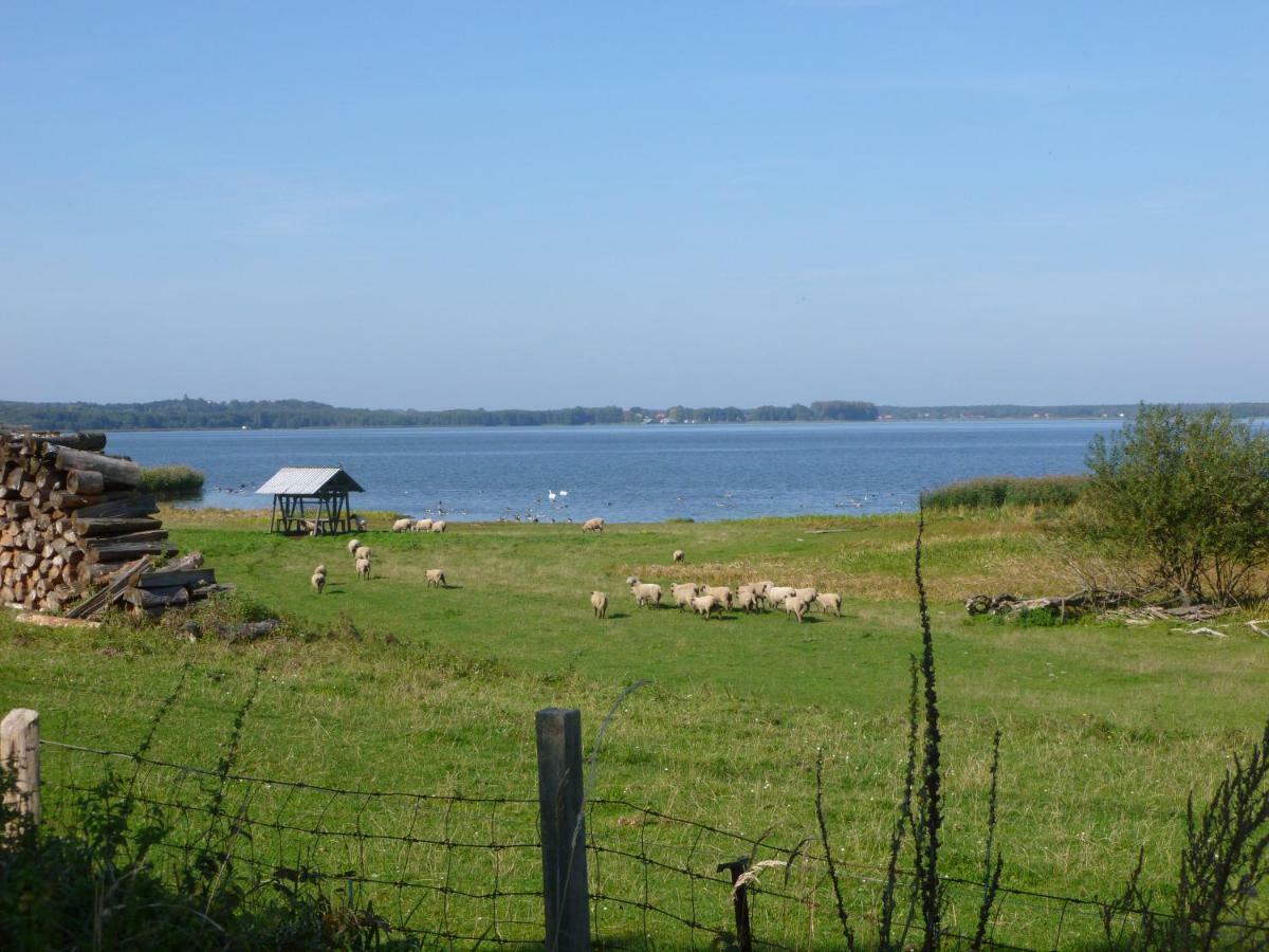 Landpension Zum Schweizerberg Neugrimnitz Bagian luar foto